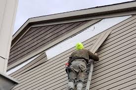 Best Siding Painting and Refinishing  in Suquamish, WA